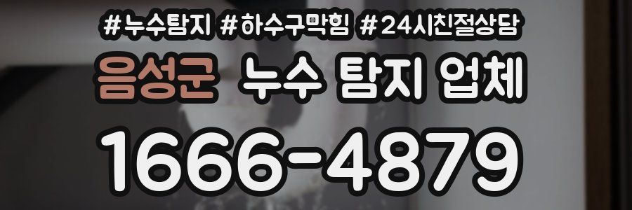 음성군 누수 탐지 업체