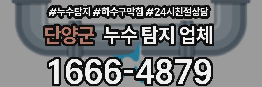 단양군 누수 탐지 업체