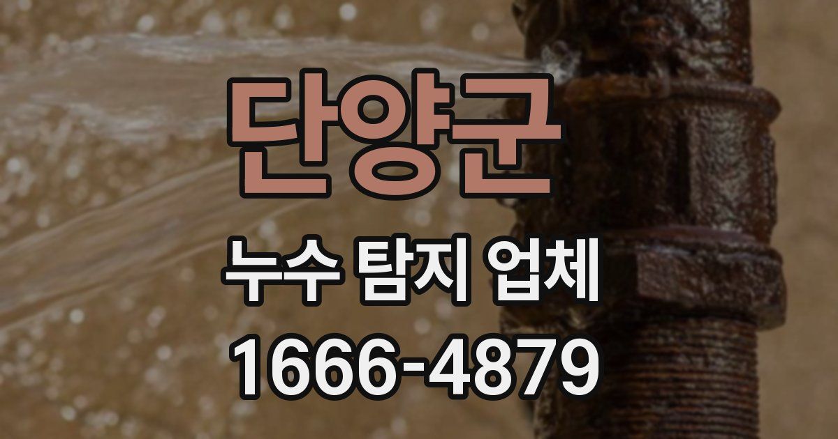 단양군 누수 탐지 업체