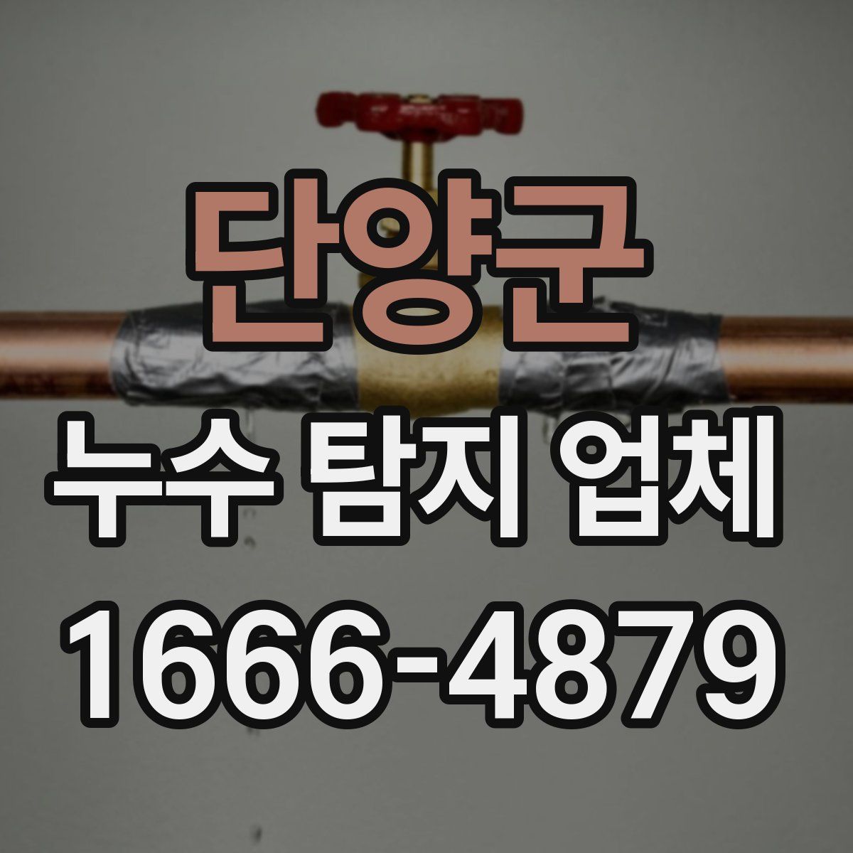 단양군 누수 탐지 업체