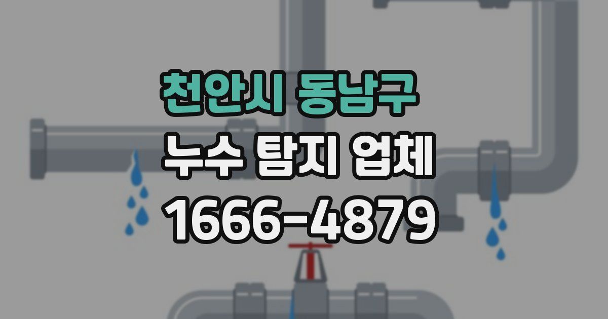 천안시 동남구 누수 탐지 업체