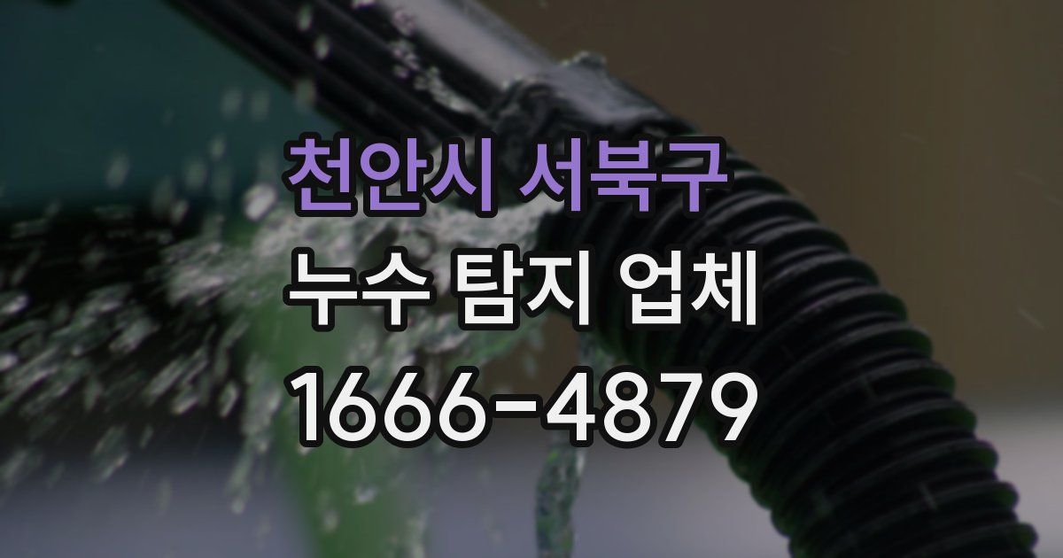 천안시 서북구 누수 탐지 업체