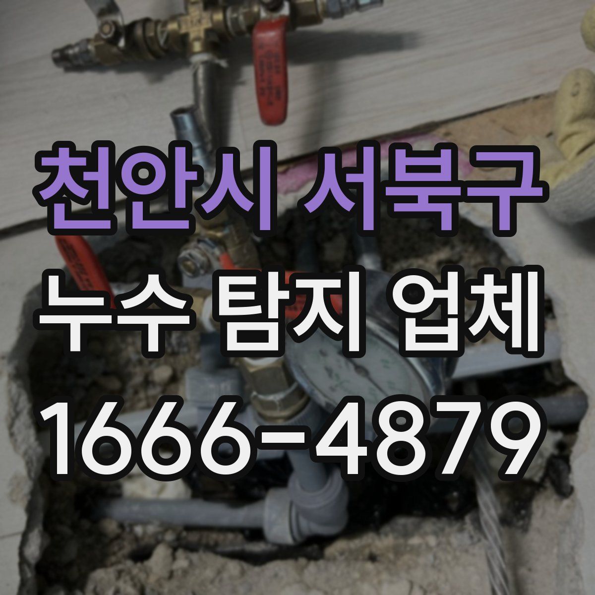 천안시 서북구 누수 탐지 업체
