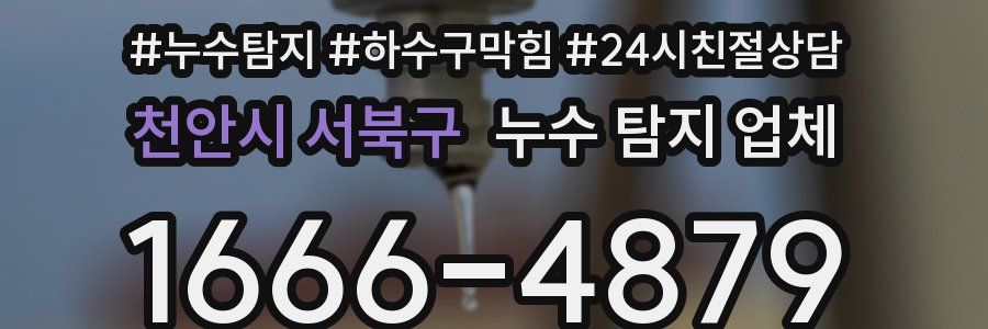 천안시 서북구 누수 탐지 업체