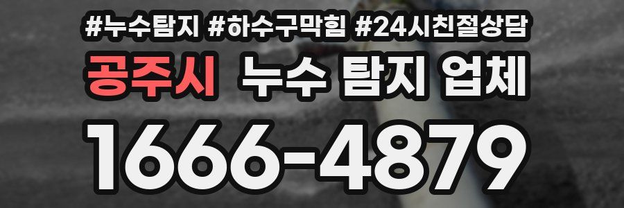 공주시 누수 탐지 업체