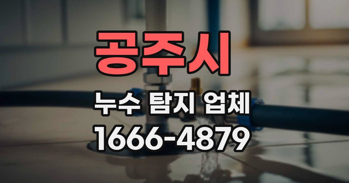 공주시 누수 탐지 업체