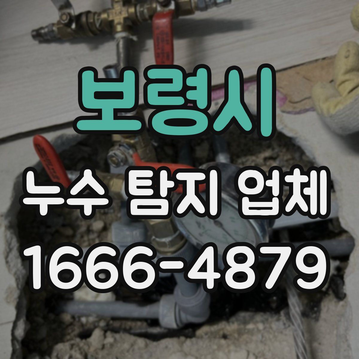 보령시 누수 탐지 업체