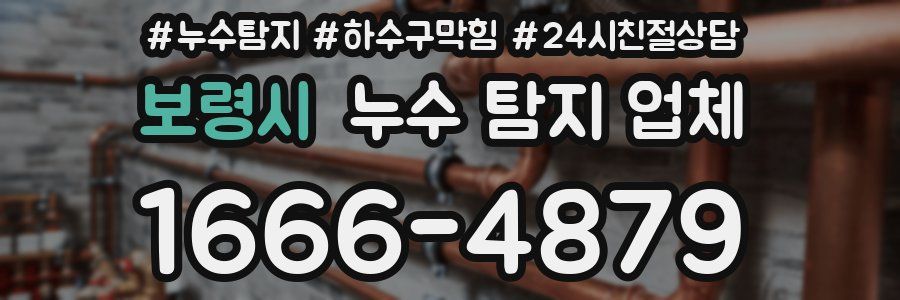 보령시 누수 탐지 업체