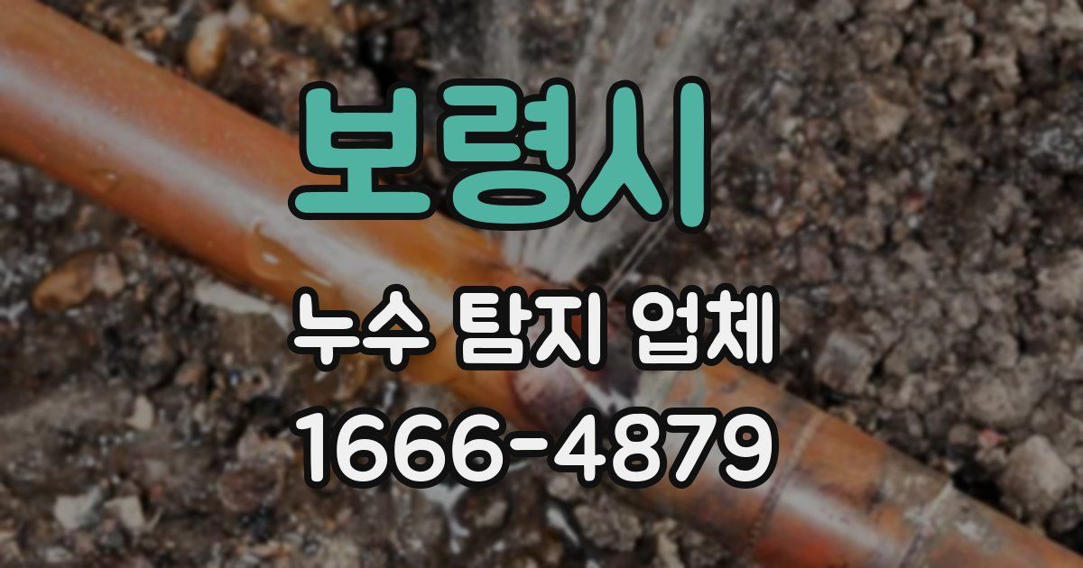 보령시 누수 탐지 업체