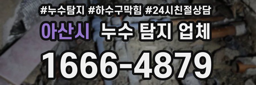 아산시 누수 탐지 업체