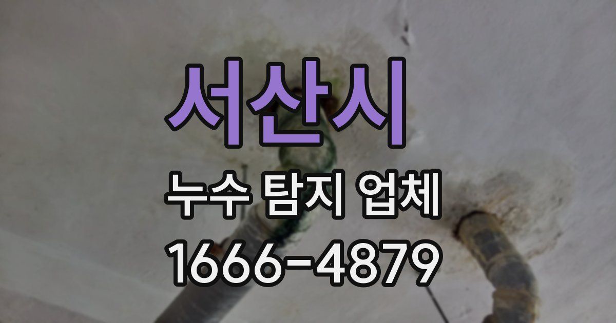 서산시 누수 탐지 업체