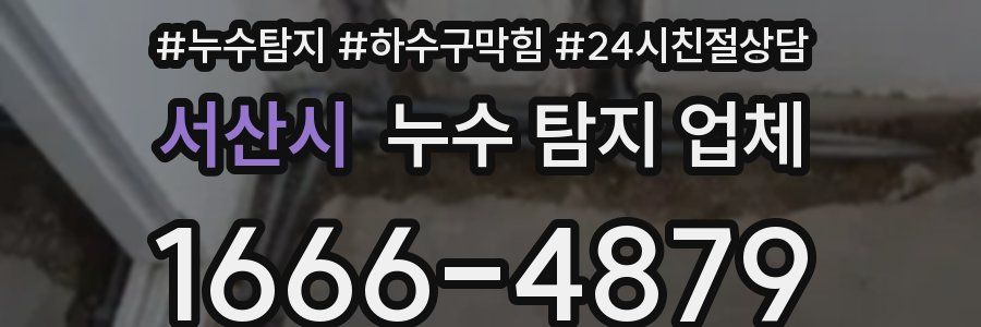 서산시 누수 탐지 업체