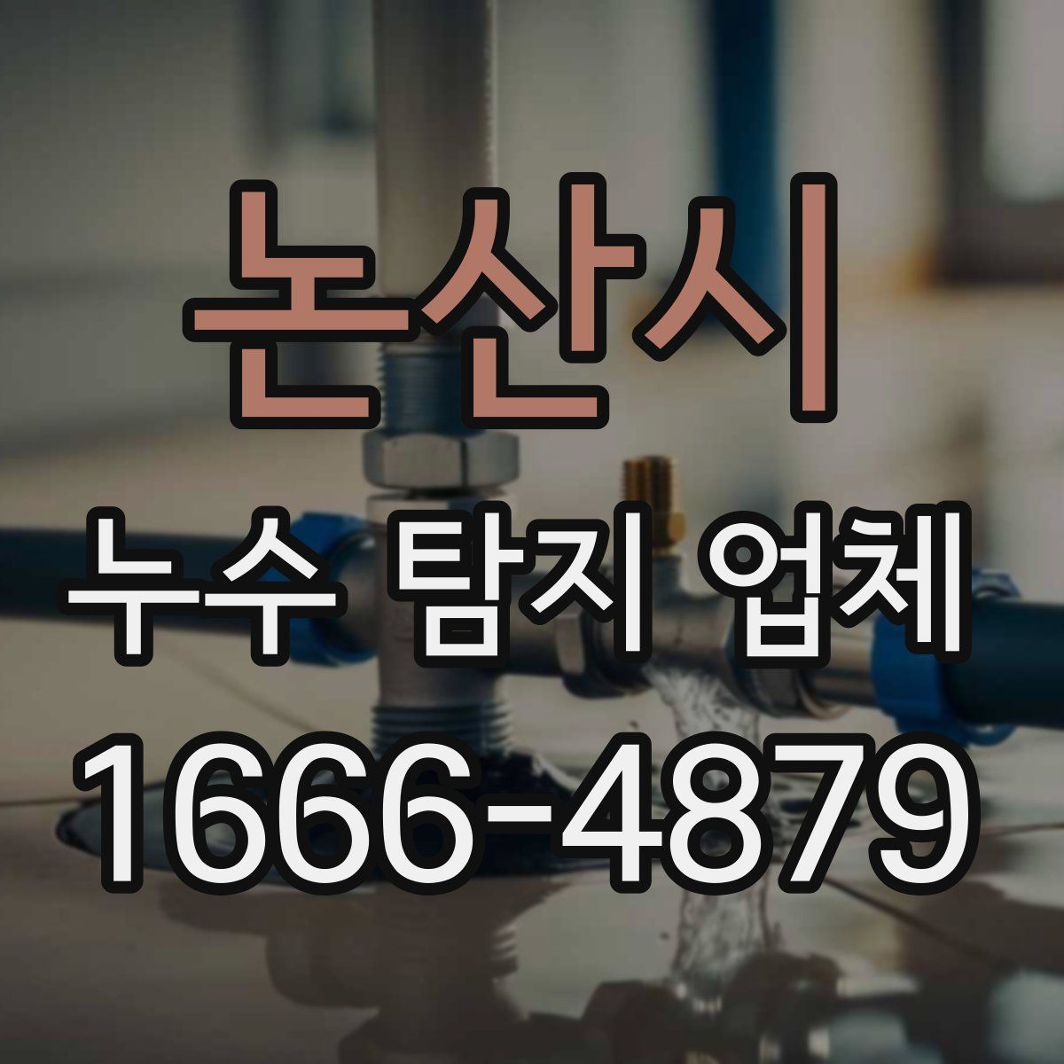 논산시 누수 탐지 업체