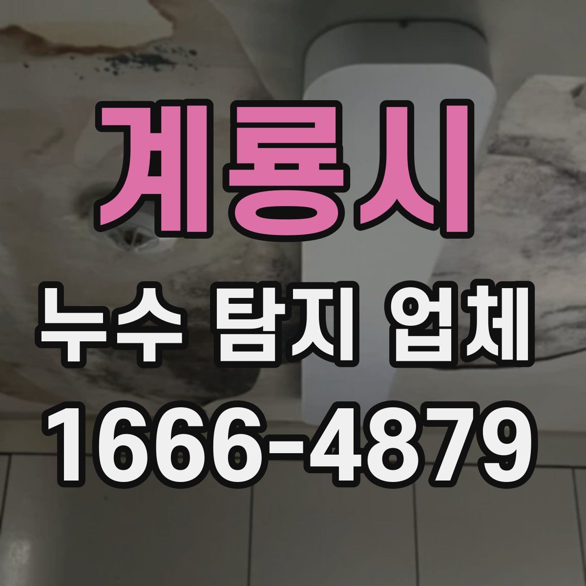 계룡시 누수 탐지 업체
