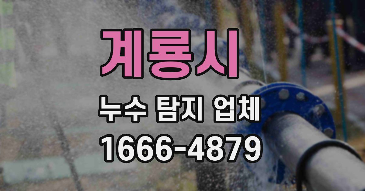 계룡시 누수 탐지 업체