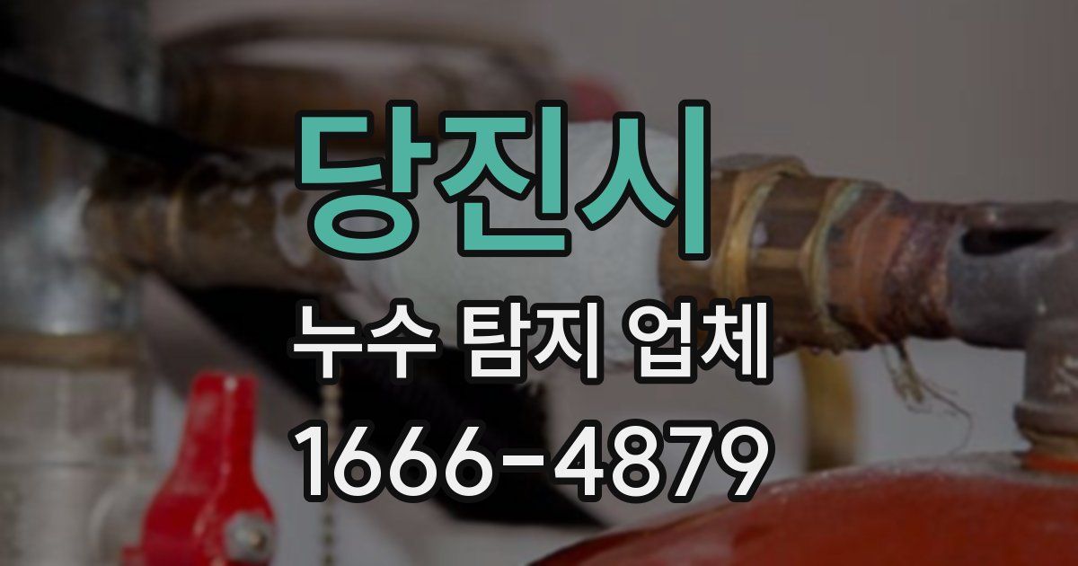 당진시 누수 탐지 업체