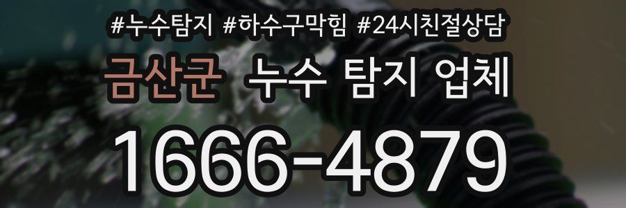 금산군 누수 탐지 업체