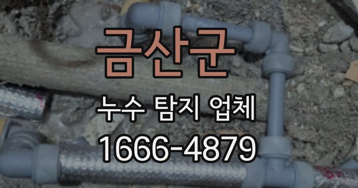 금산군 누수 탐지 업체