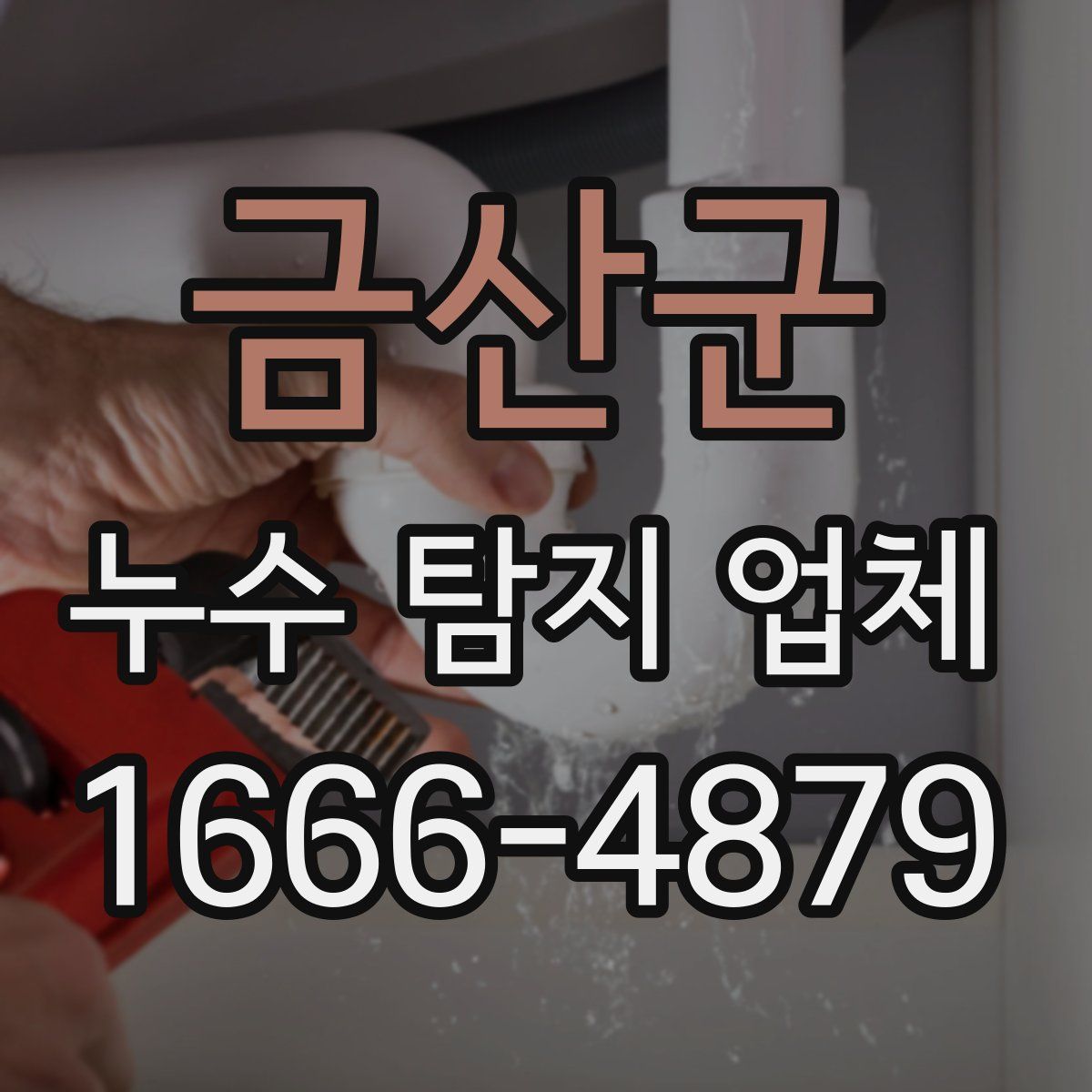 금산군 누수 탐지 업체
