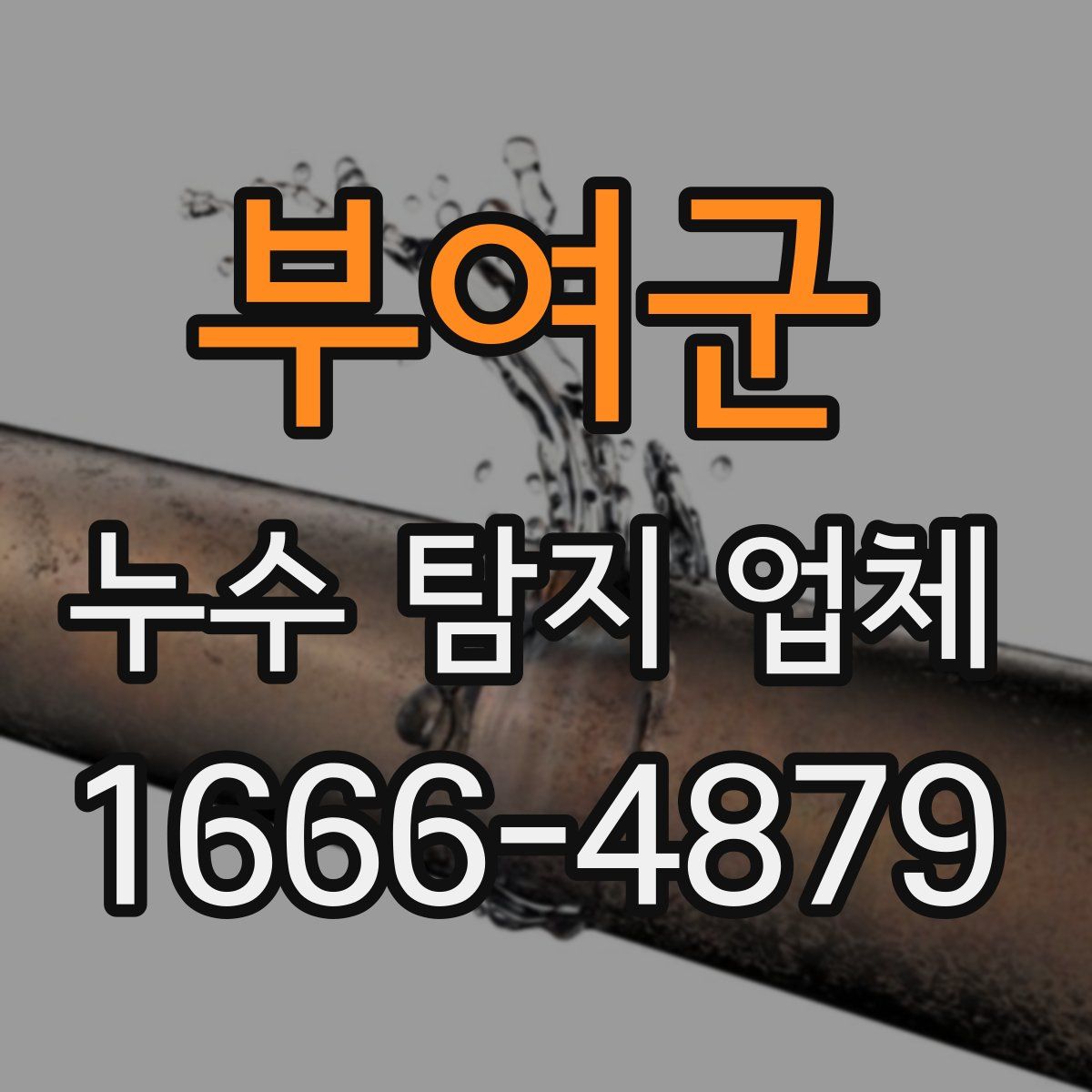 부여군 누수 탐지 업체