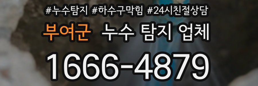 부여군 누수 탐지 업체