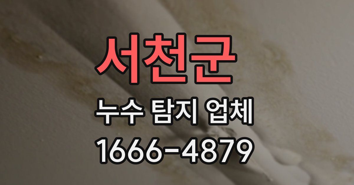 서천군 누수 탐지 업체