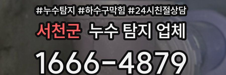서천군 누수 탐지 업체
