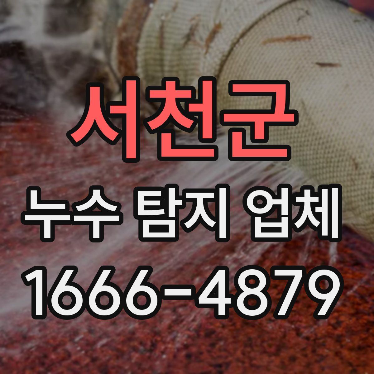서천군 누수 탐지 업체