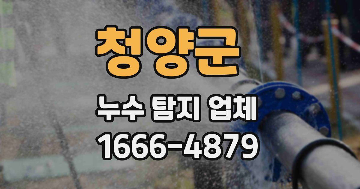 청양군 누수 탐지 업체