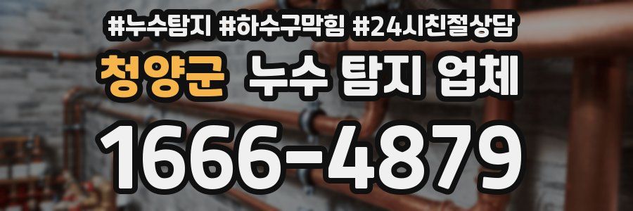 청양군 누수 탐지 업체