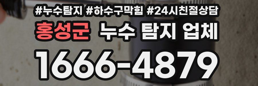 홍성군 누수 탐지 업체