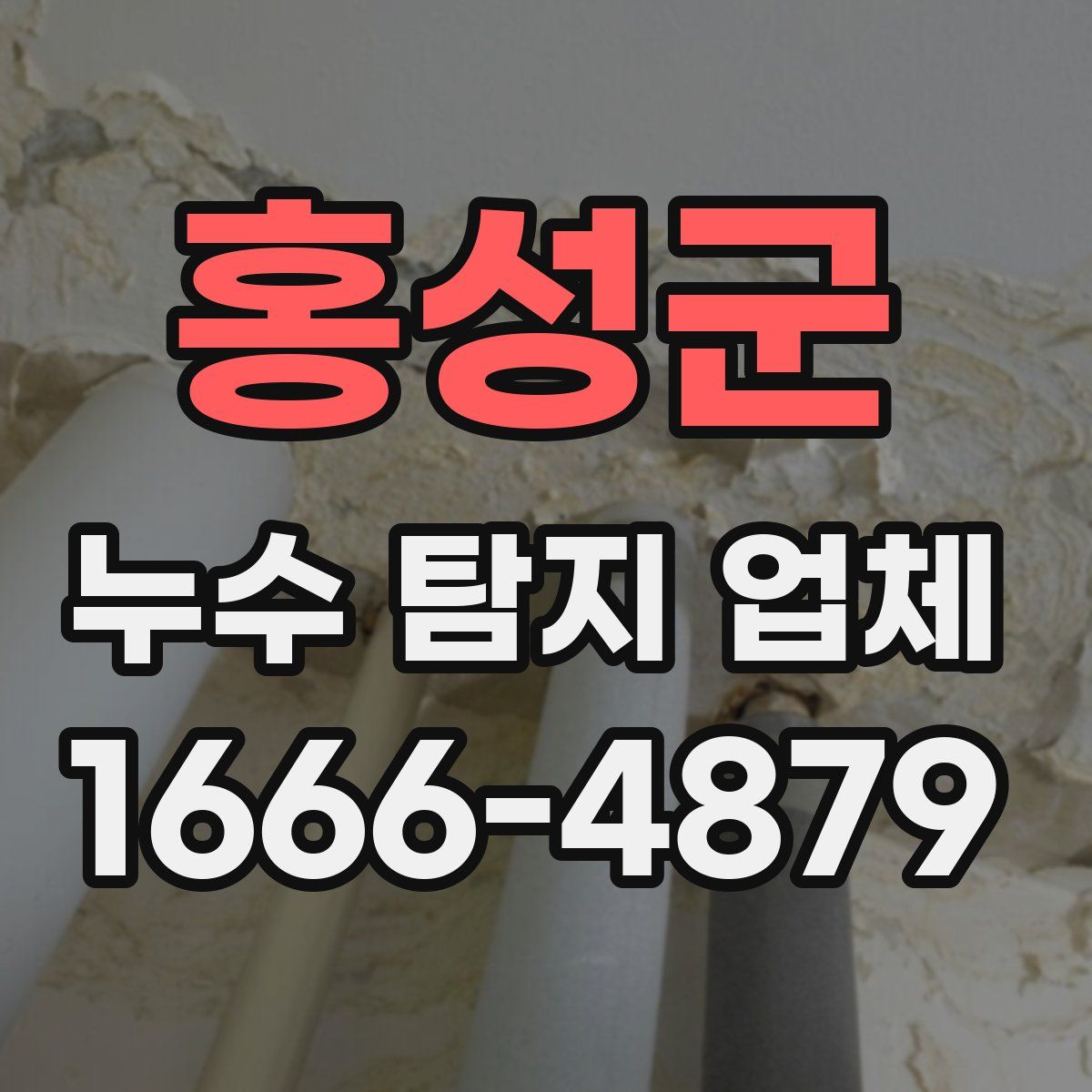 홍성군 누수 탐지 업체