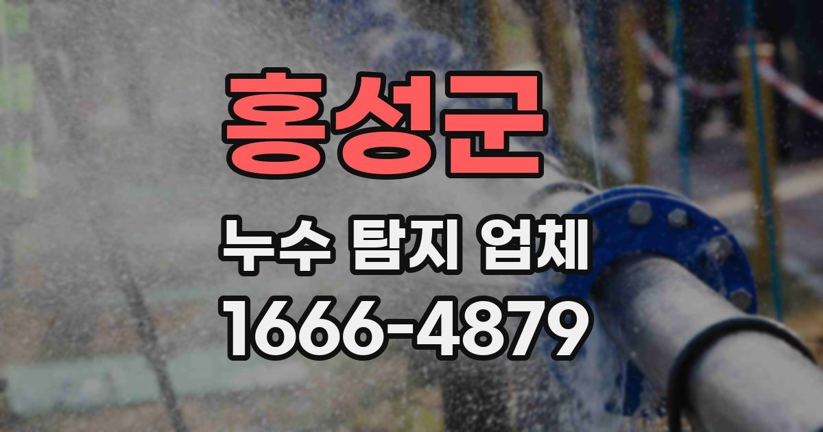 홍성군 누수 탐지 업체