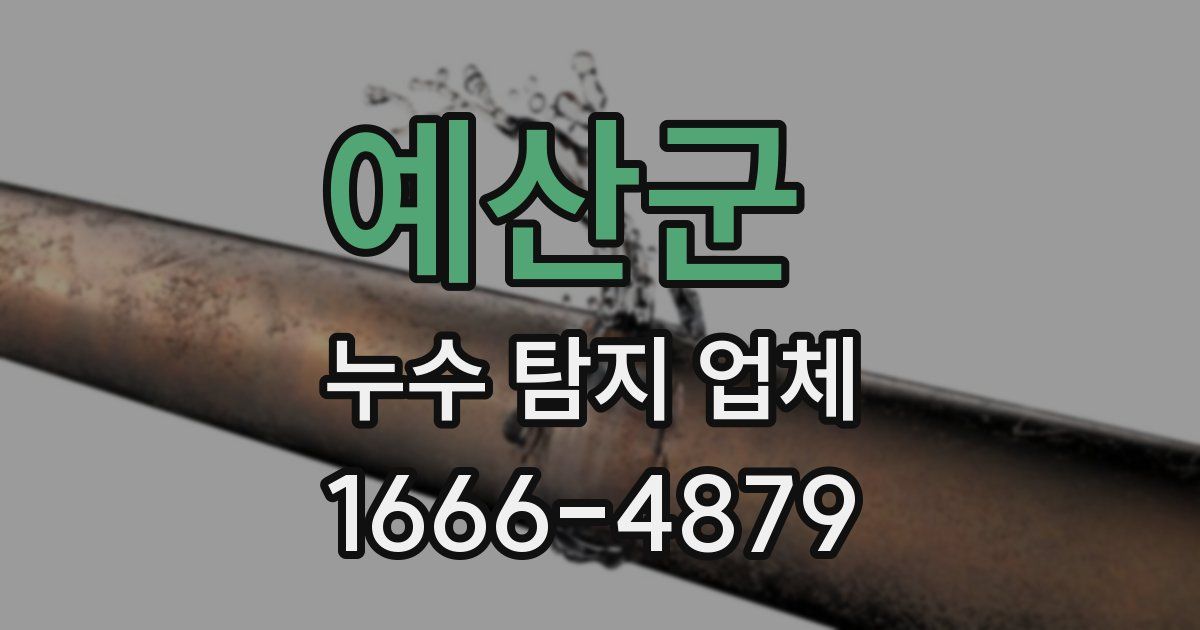 예산군 누수 탐지 업체