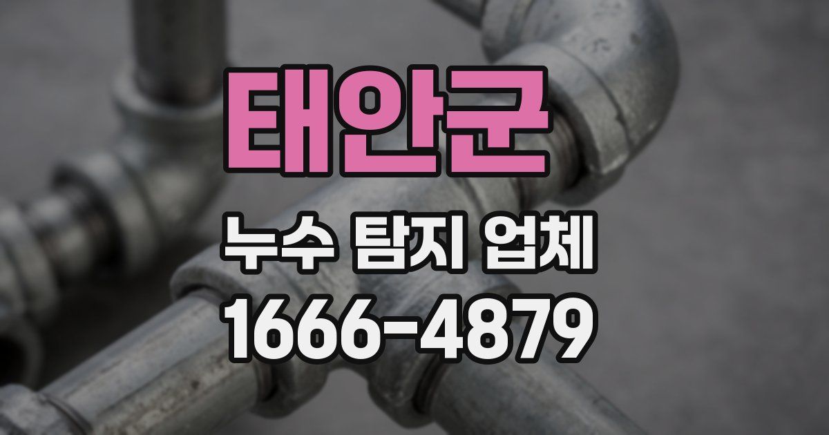 태안군 누수 탐지 업체