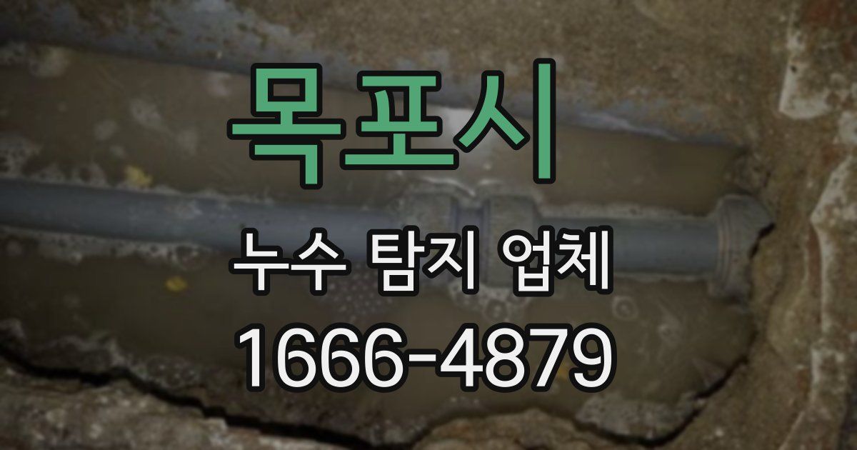 목포시 누수 탐지 업체