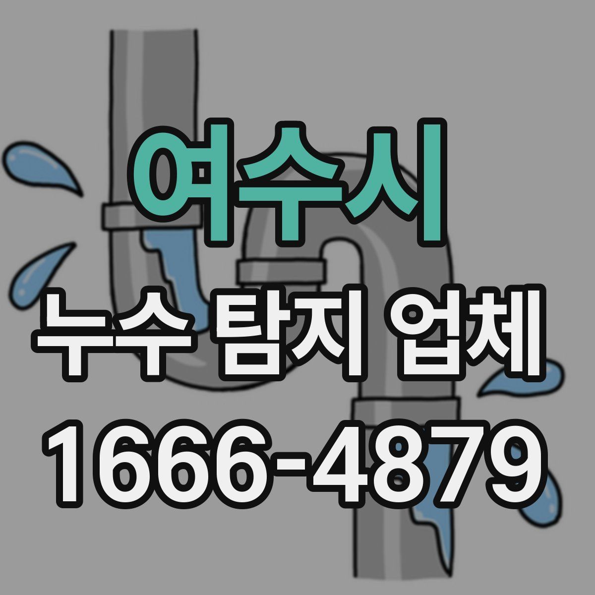 여수시 누수 탐지 업체