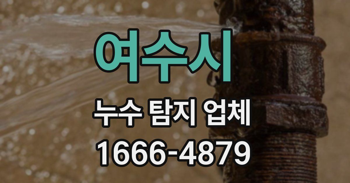 여수시 누수 탐지 업체