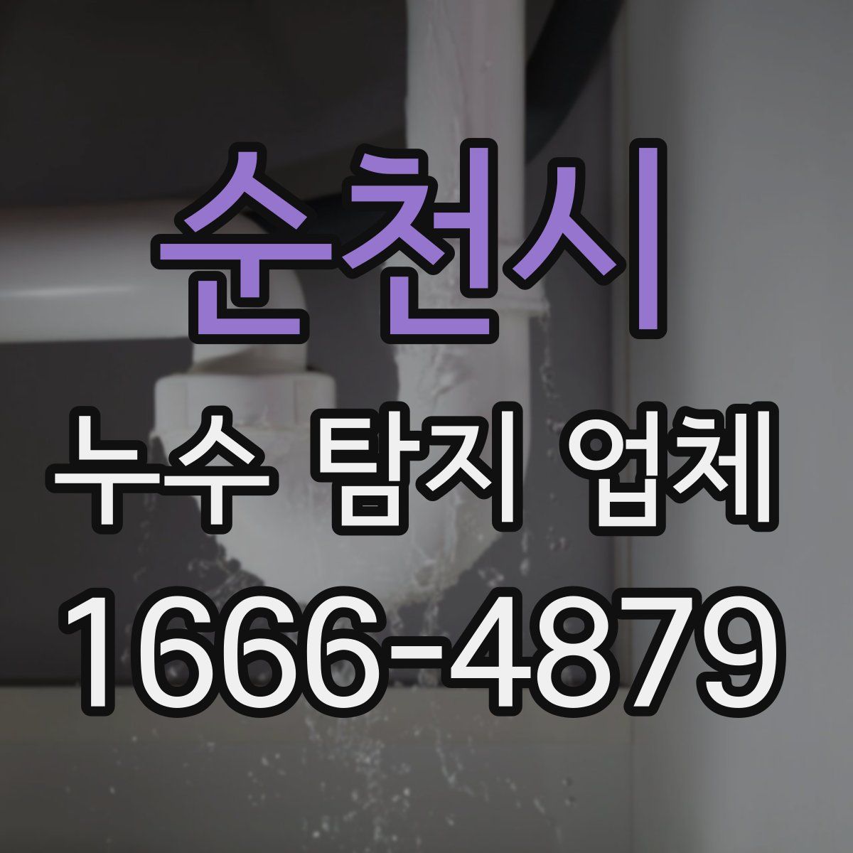순천시 누수 탐지 업체