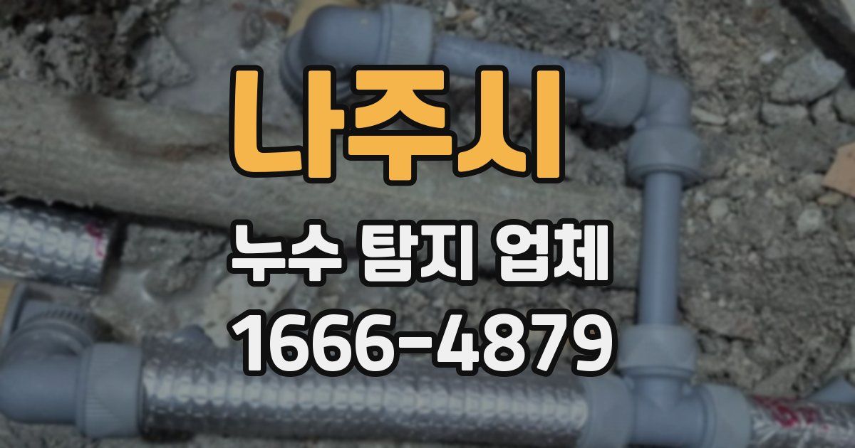 나주시 누수 탐지 업체