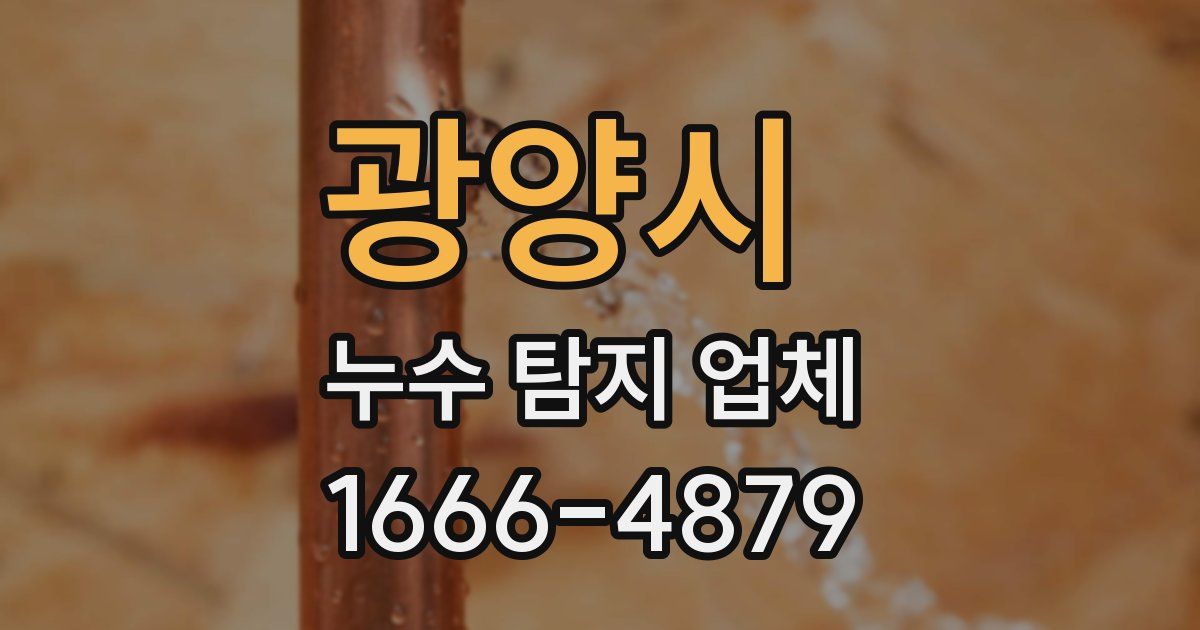 광양시 누수 탐지 업체