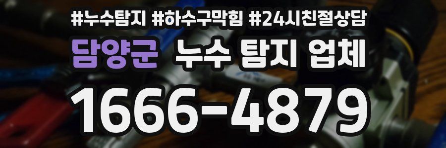 담양군 누수 탐지 업체