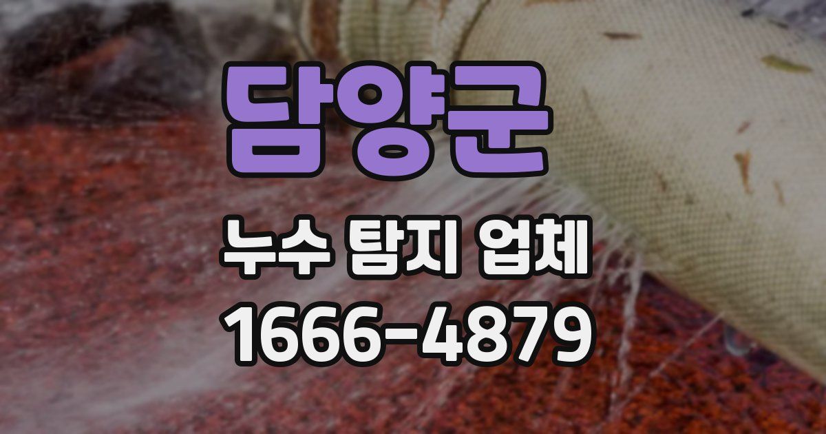 담양군 누수 탐지 업체