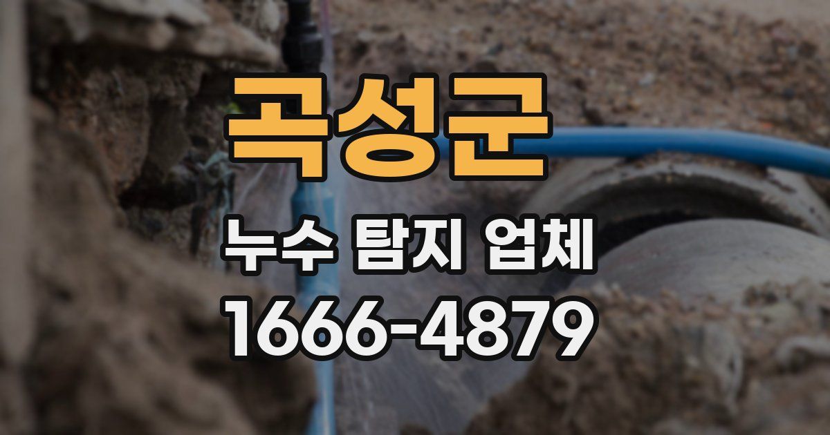 곡성군 누수 탐지 업체