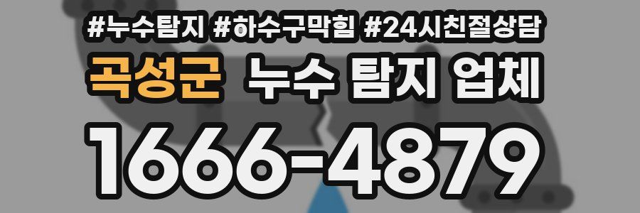 곡성군 누수 탐지 업체