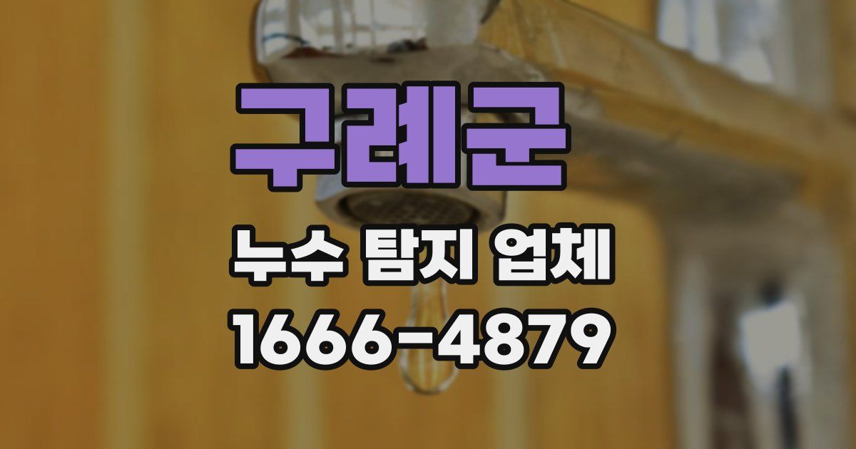 구례군 누수 탐지 업체