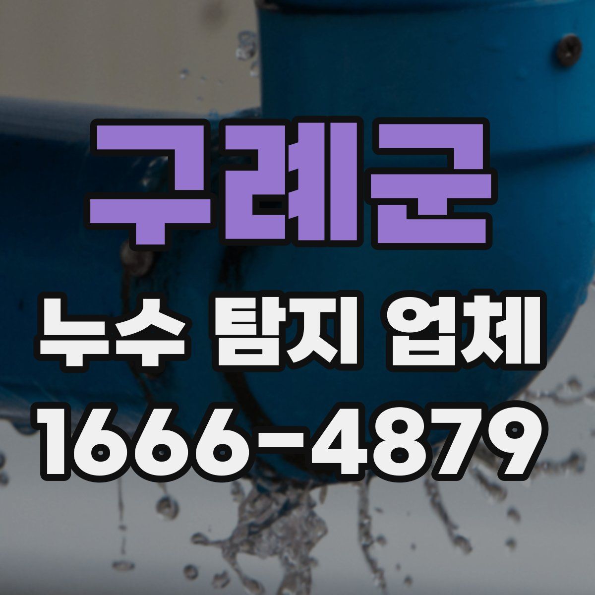 구례군 누수 탐지 업체