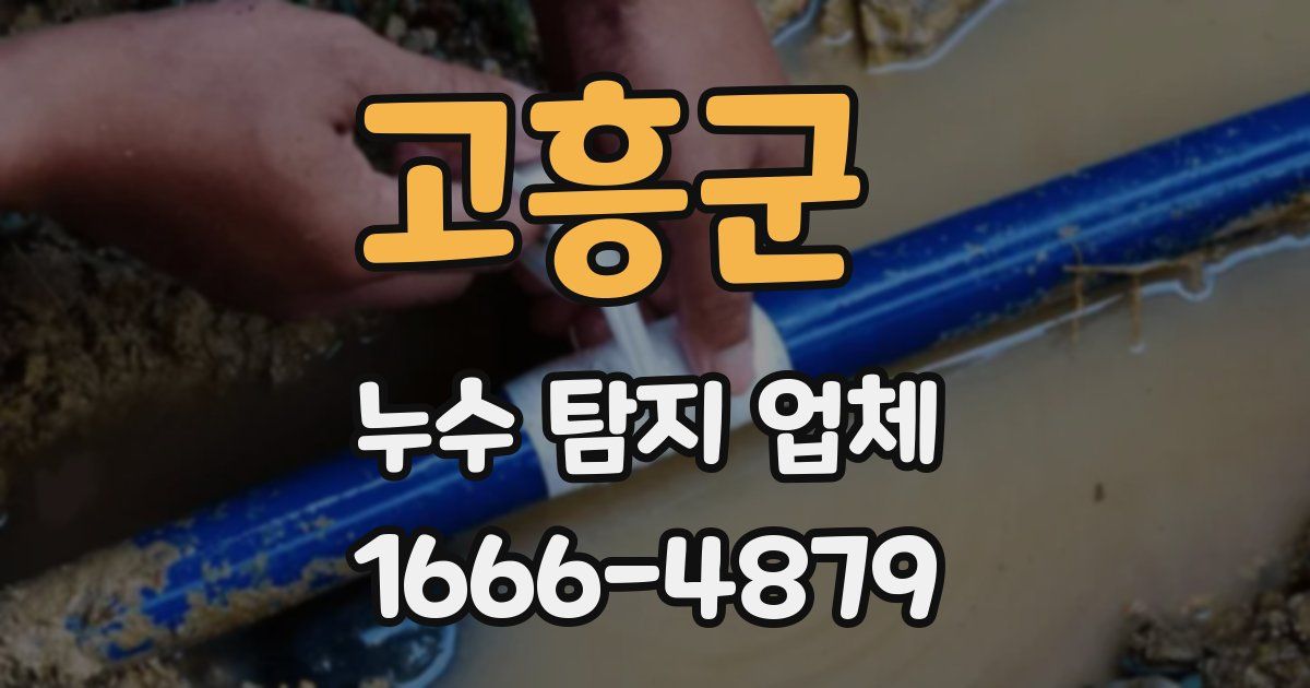 고흥군 누수 탐지 업체