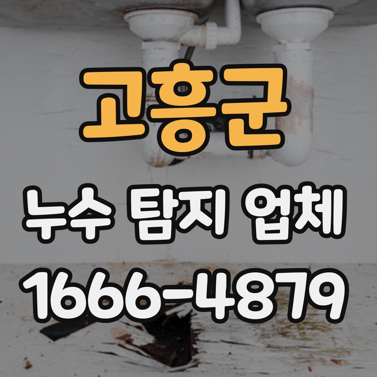 고흥군 누수 탐지 업체