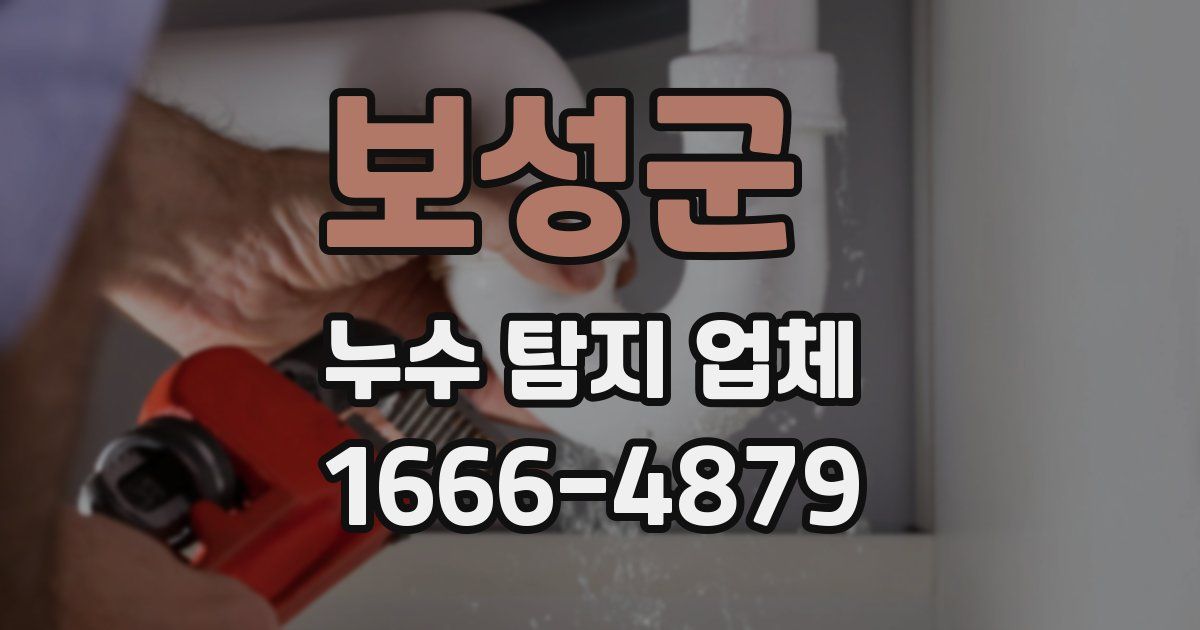 보성군 누수 탐지 업체